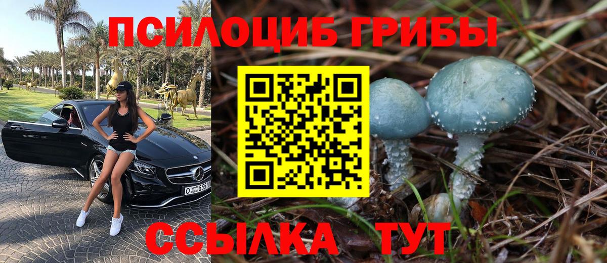 Псилоцибиновые грибы Magic Shrooms Ревда