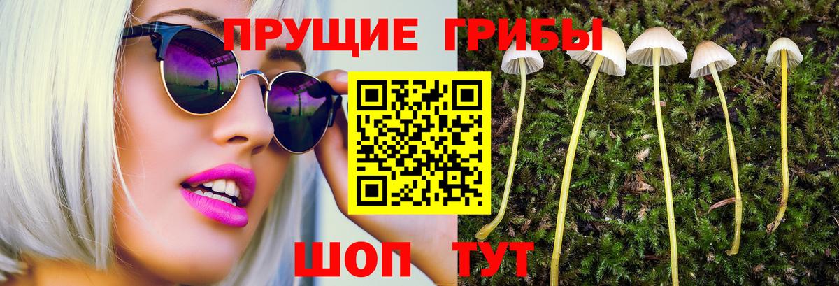 Псилоцибиновые грибы ЛСД  Вход с VPN  где купить наркоту  Ревда 